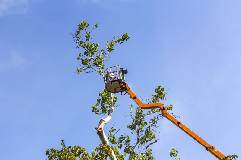 Tree Topping Service