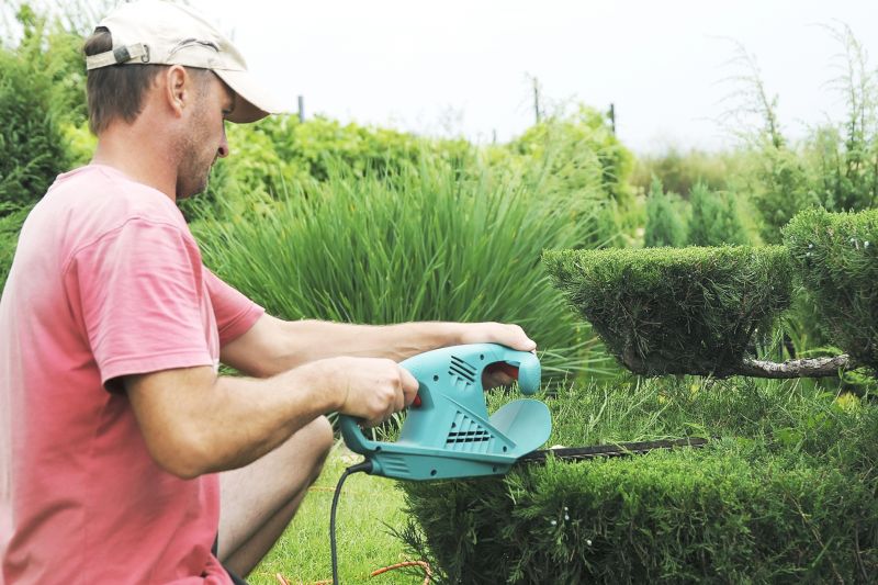 Bush Trimming Service in Aiken, SC