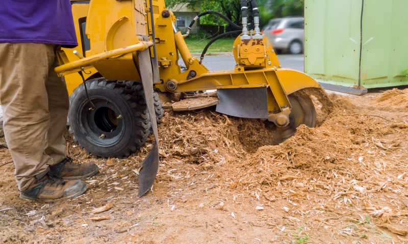 Commercial Stump Grinding in Calvert County, MD