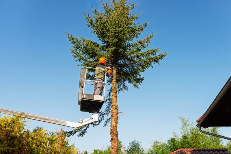 Commercial Tree Trimming in Montgomery County, PA