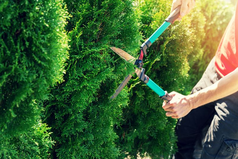 Hedge Pruning in Rockwall, TX