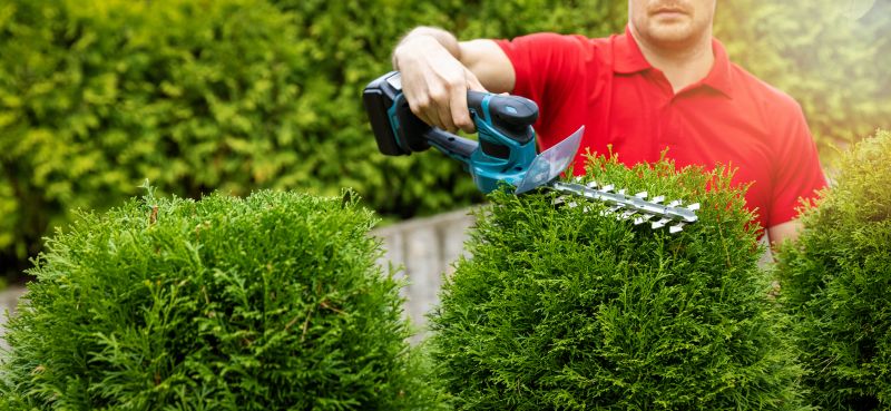 Hedge Trimming in Aiken, SC