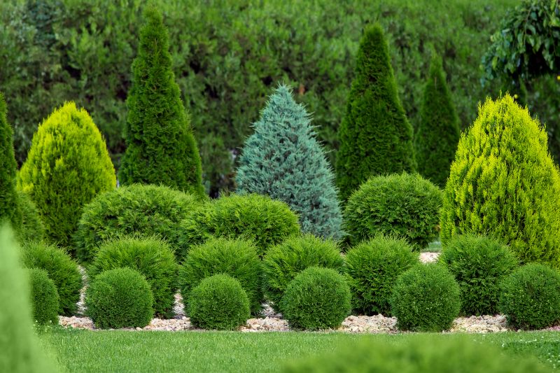 Shrub Shaping in Ventura County, CA