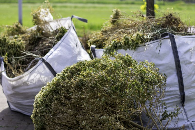 Shrubs Removal in Ventura County, CA