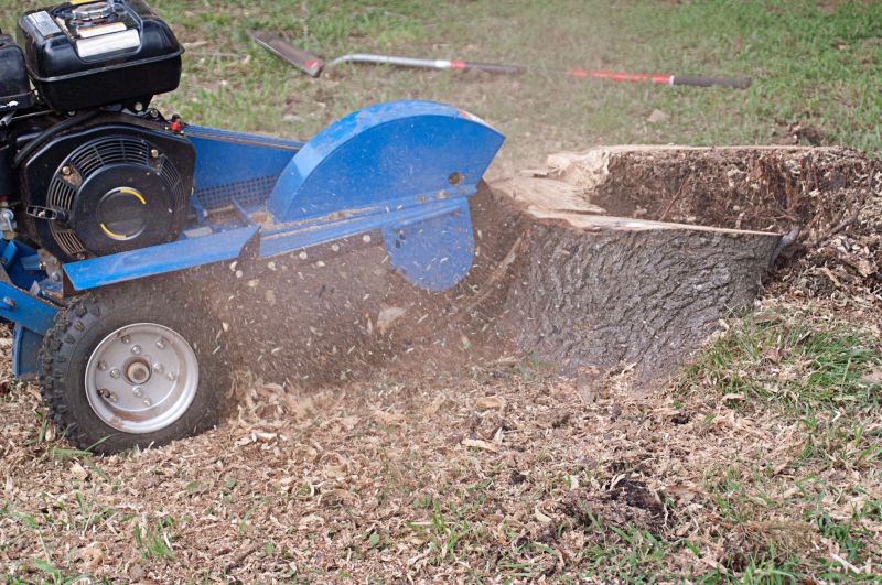Stump Cutting in Aiken, SC