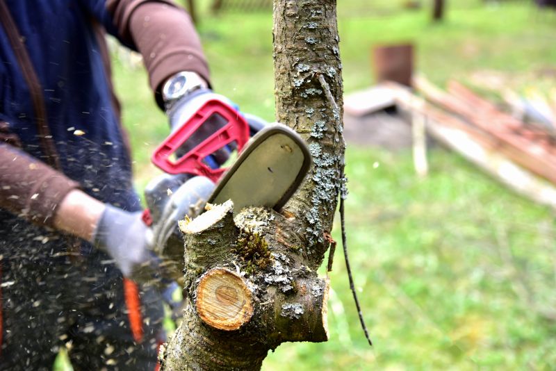 Tree Shaping Service in Pottstown, PA